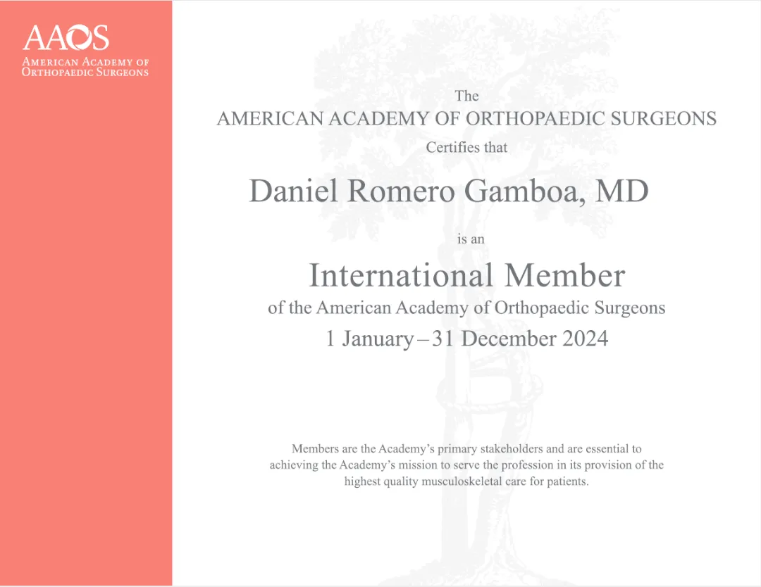 Constancia profesional